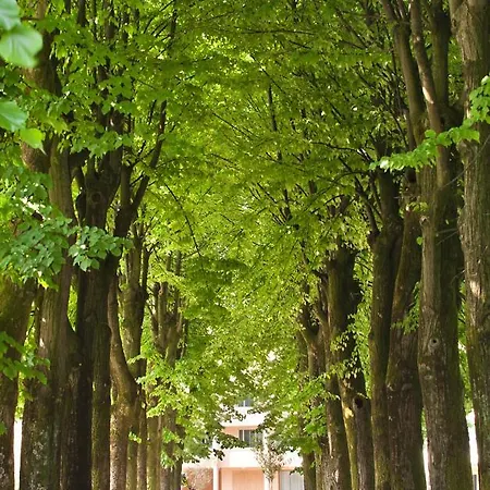 Otel Terme Neroniane Montegrotto Terme