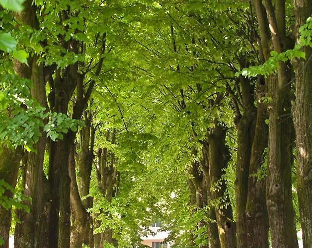 Hotel Terme Neroniane Montegrotto Terme